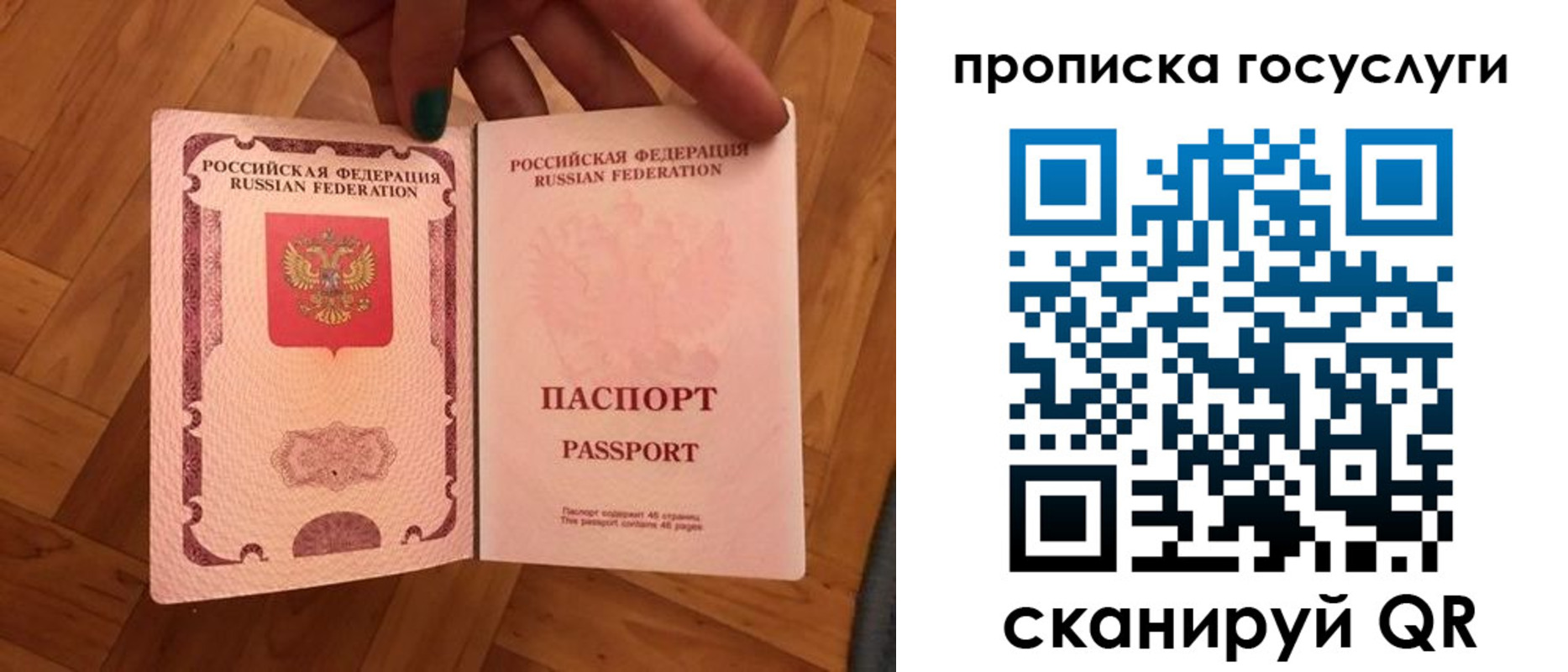 прописка в Колпашево